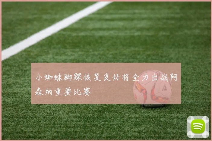 小蜘蛛脚踝恢复良好将全力出战阿森纳重要比赛