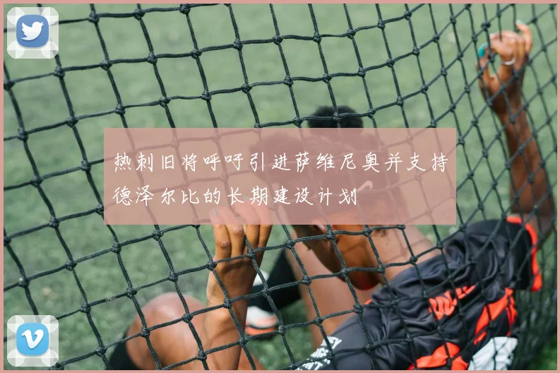 热刺旧将呼吁引进萨维尼奥并支持德泽尔比的长期建设计划