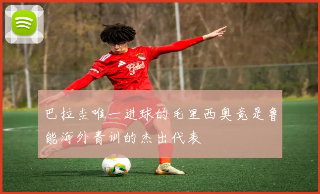 巴拉圭唯一进球的毛里西奥竟是鲁能海外青训的杰出代表